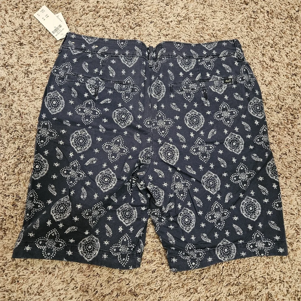 Abercrombie & Fitch Men's Shorts NWT